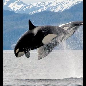 Meet your Posher, Terry